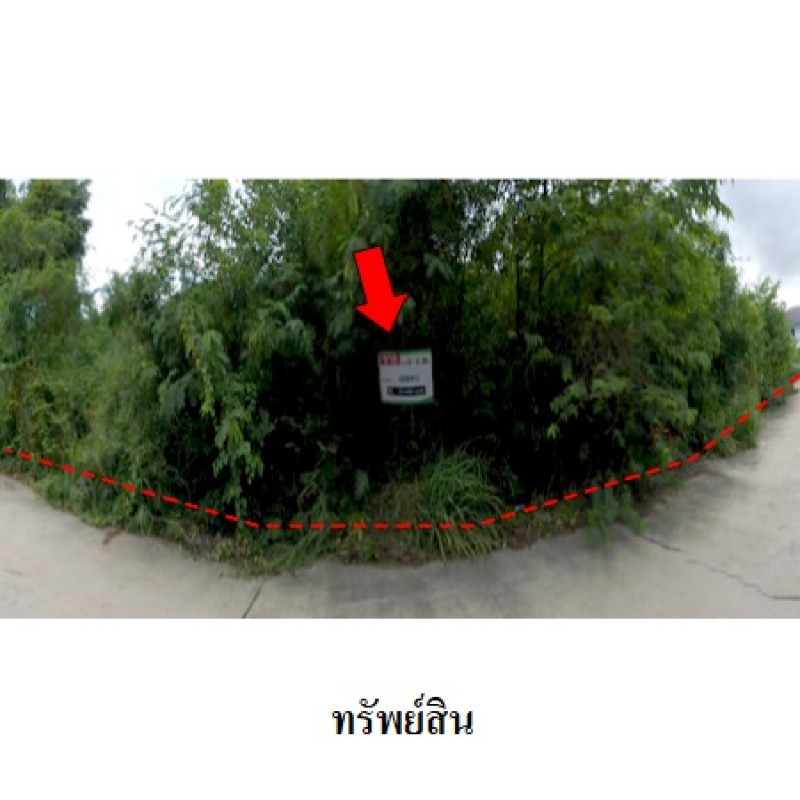 ที่ดินเปล่า สวนวลีแลนด์ 4 ระยอง เมืองระยอง ทับมา 3390000