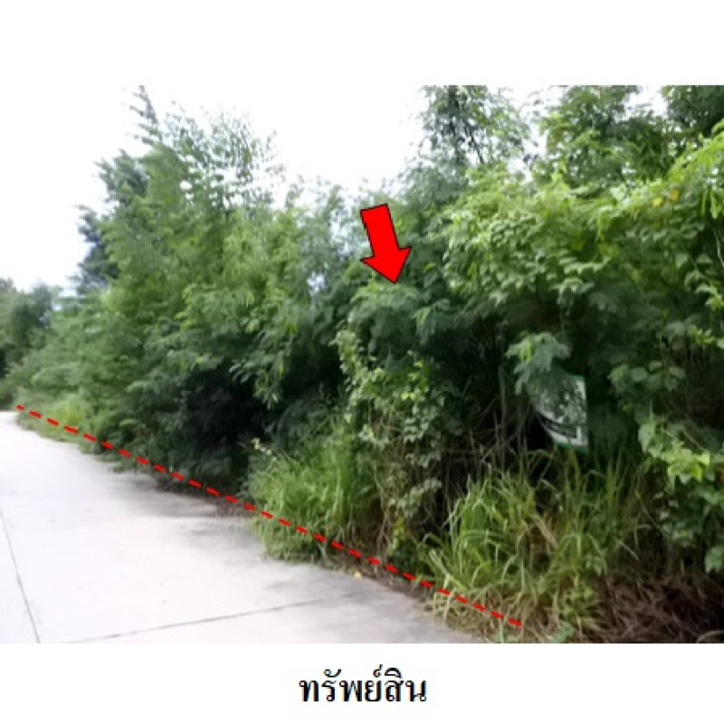 ที่ดินเปล่า สวนวลีแลนด์ 4 ระยอง เมืองระยอง ทับมา 3390000