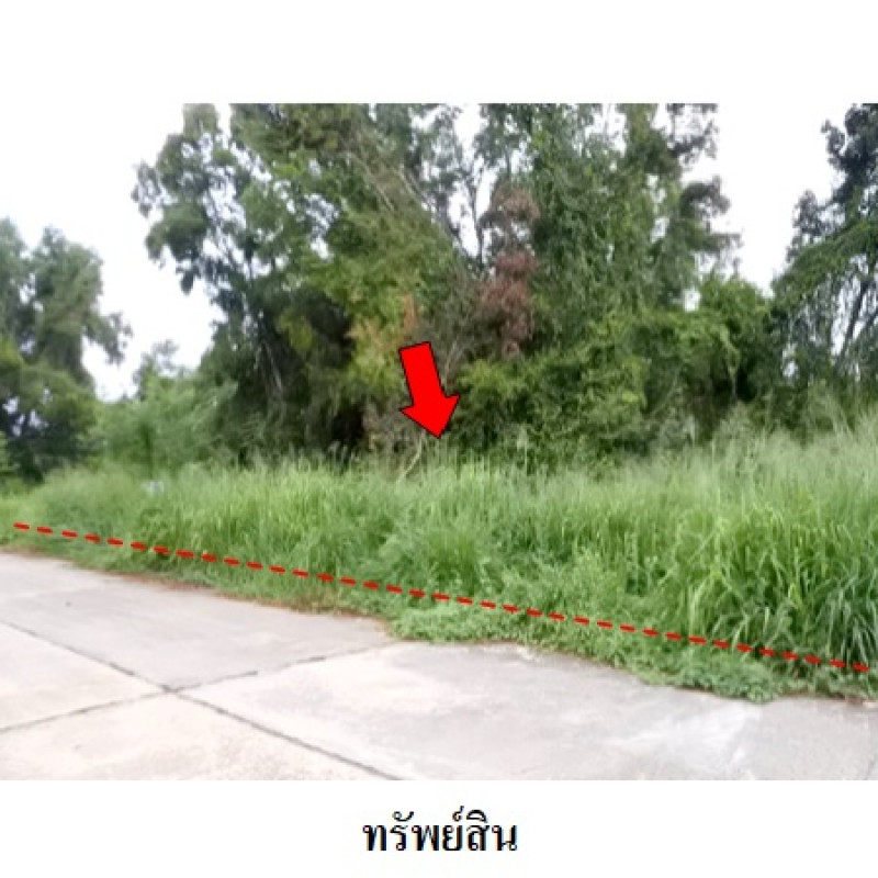 Residential land/lot Rayong Mueang Rayong Thap Ma 4920000