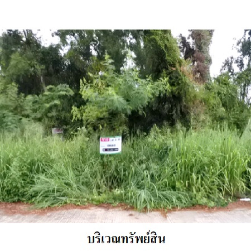 Residential land/lot Rayong Mueang Rayong Thap Ma 4920000