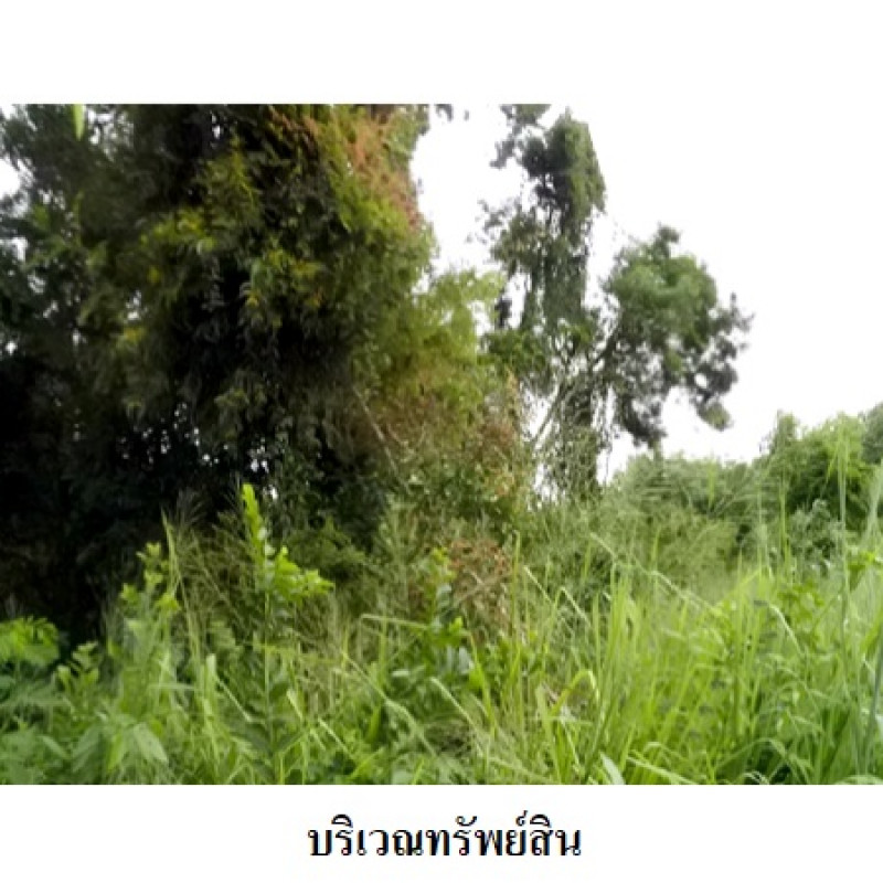 Residential land/lot Rayong Mueang Rayong Thap Ma 4920000