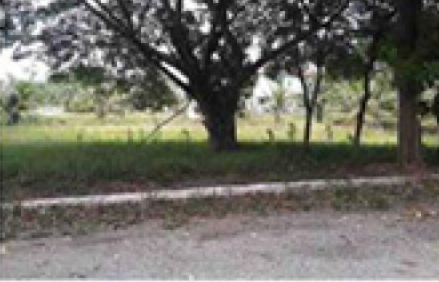 ที่ดินเปล่า เพชรบุรี เมืองเพชรบุรี หนองขนาน 706000