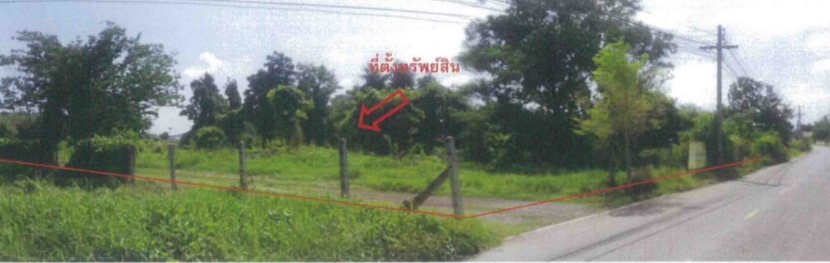 ที่ดินเปล่า พิษณุโลก วังทอง วังทอง 10547000