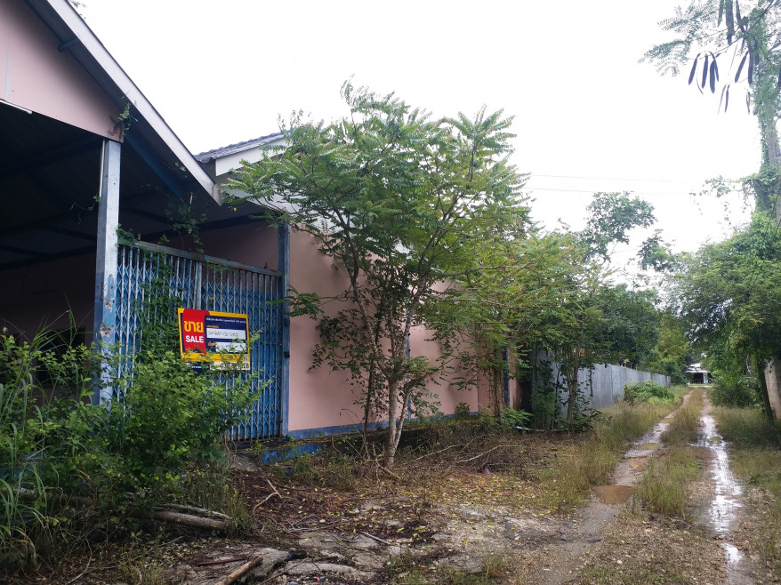 Commercial building Rayong Khao Chamao Nam Pen 3248000