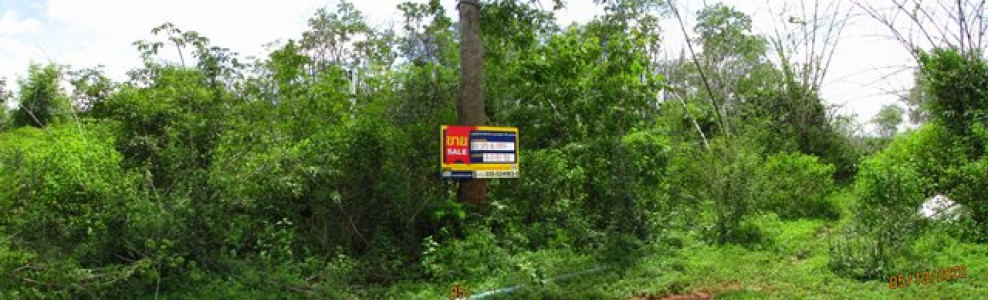 Residential land/lot Suphan Buri U Thong Chorakhe Sam Phan 840000