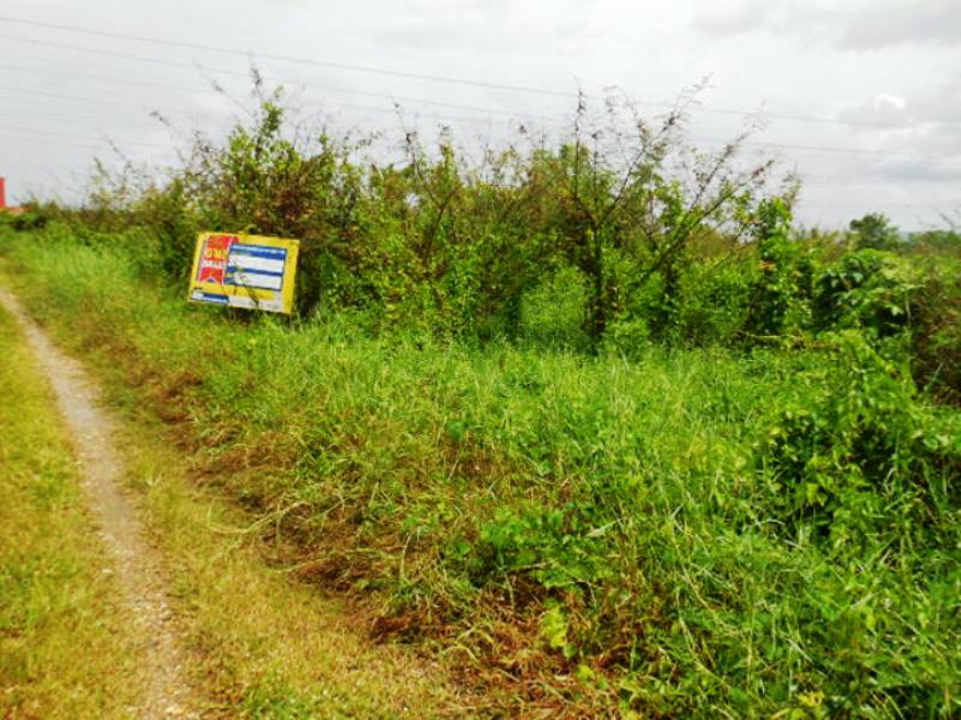 Residential land/lot Lampang Mueang Lampang Phichai 216000