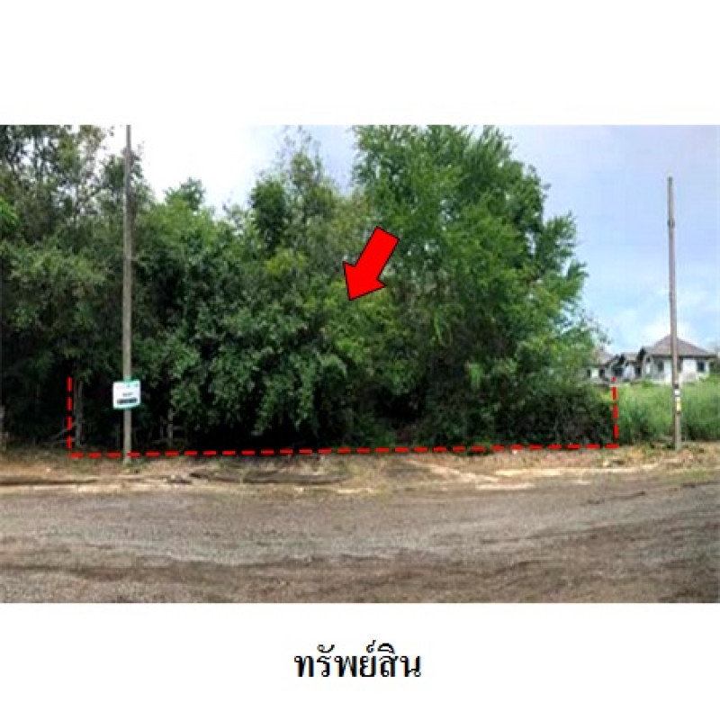 บ้านเดี่ยว ปัญญา รีสอร์ท คันทรีคลับ ชลบุรี ศรีราชา บางพระ 5910000