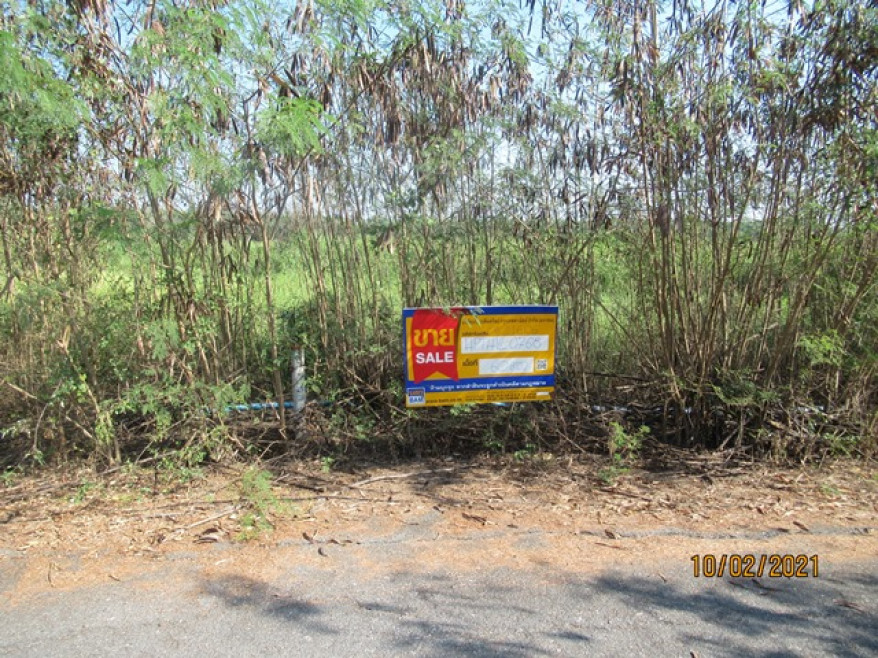 Residential land/lot Pathum Thani Nong Suea Bueng Ba 297000