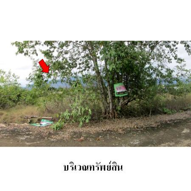 ที่ดินเปล่า สวนเกษตรนพวรรณ ลำพูน บ้านโฮ่ง หนองปลาสะวาย 1510000