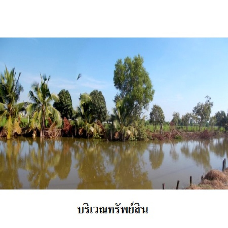 บ้านเดี่ยว กรุงเทพมหานคร หนองจอก คลองสิบ 5562700