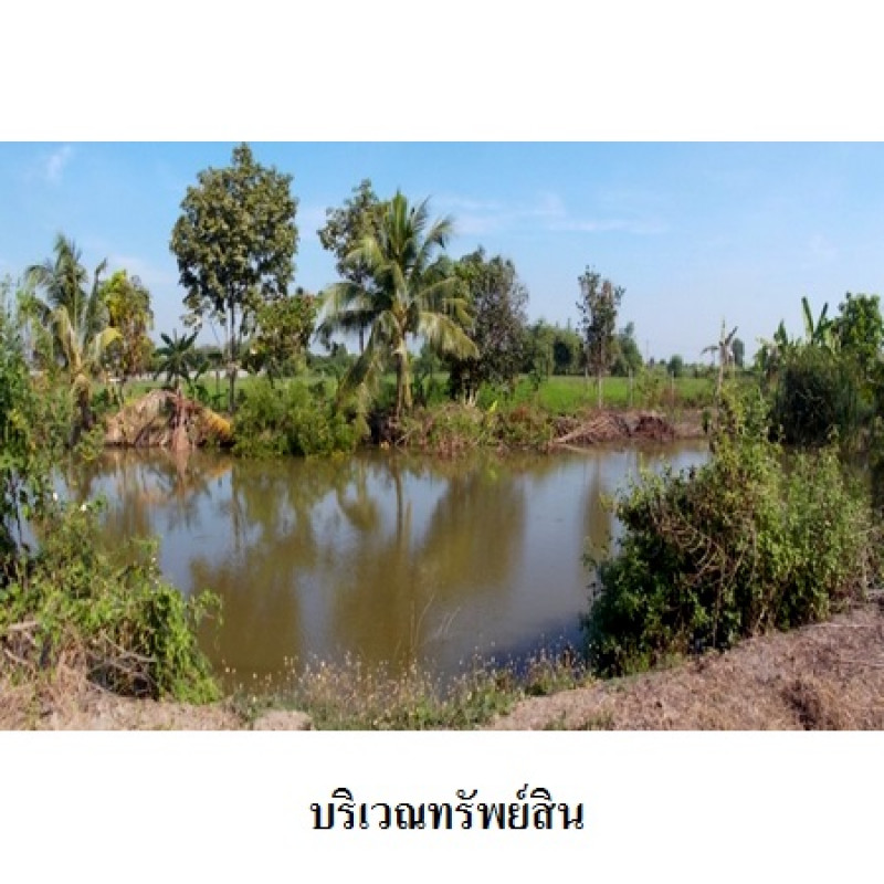 บ้านเดี่ยว กรุงเทพมหานคร หนองจอก คลองสิบ 5562700