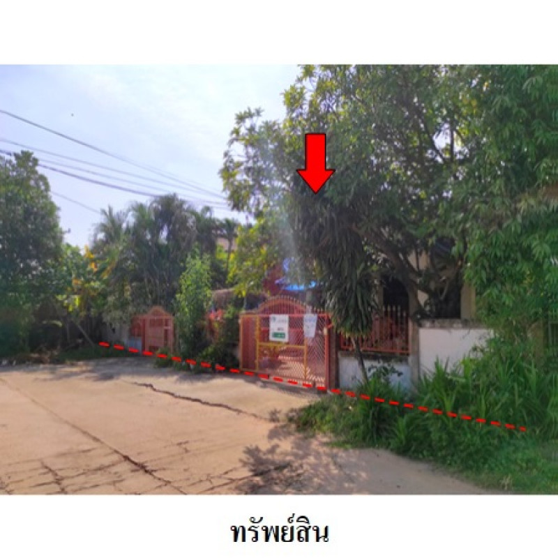 บ้านเดี่ยว มหาสารคาม เมืองมหาสารคาม เกิ้ง 1359700