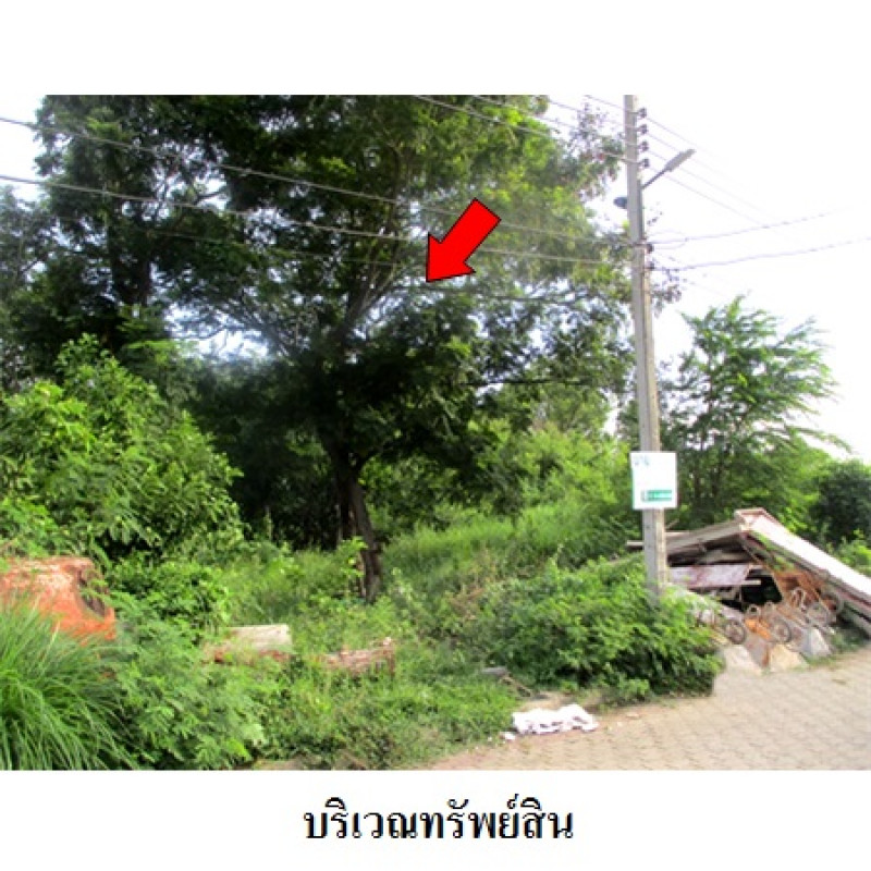 ที่ดินเปล่า สุทัศนาถ กรุงเทพมหานคร ทวีวัฒนา ทวีวัฒนา 8090000