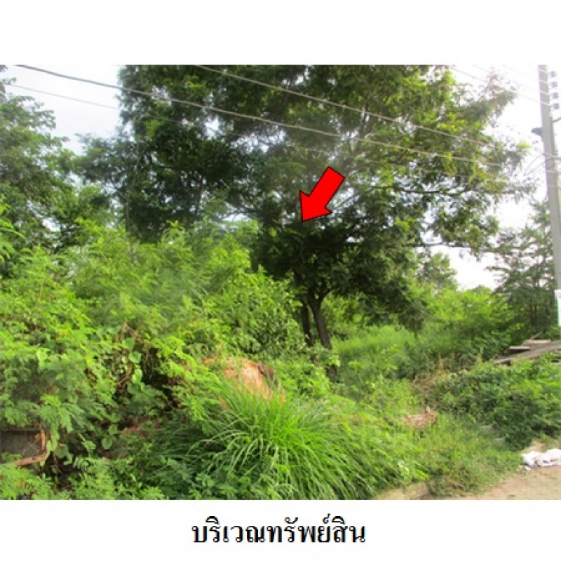 ที่ดินเปล่า สุทัศนาถ กรุงเทพมหานคร ทวีวัฒนา ทวีวัฒนา 8090000