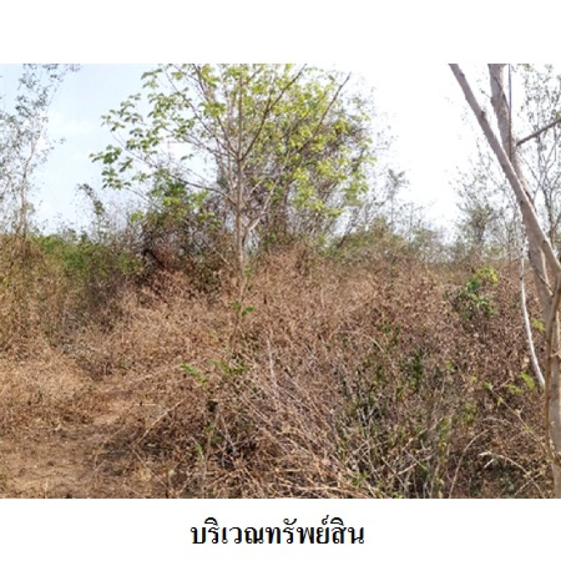 ที่ดินเปล่า ลำปาง เมืองลำปาง กล้วยแพะ 575900