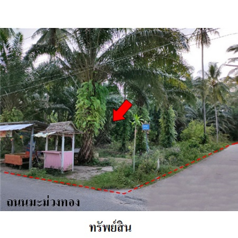 Residential land/lot Nakhon Si Thammarat Mueang Nakhon Si Thammarat Pak Phun 4819000
