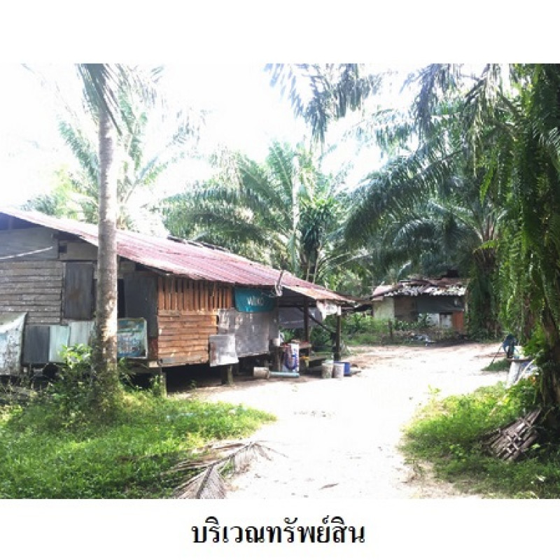 ที่ดินเปล่า นครศรีธรรมราช เมืองนครศรีธรรมราช ปากพูน 7806200