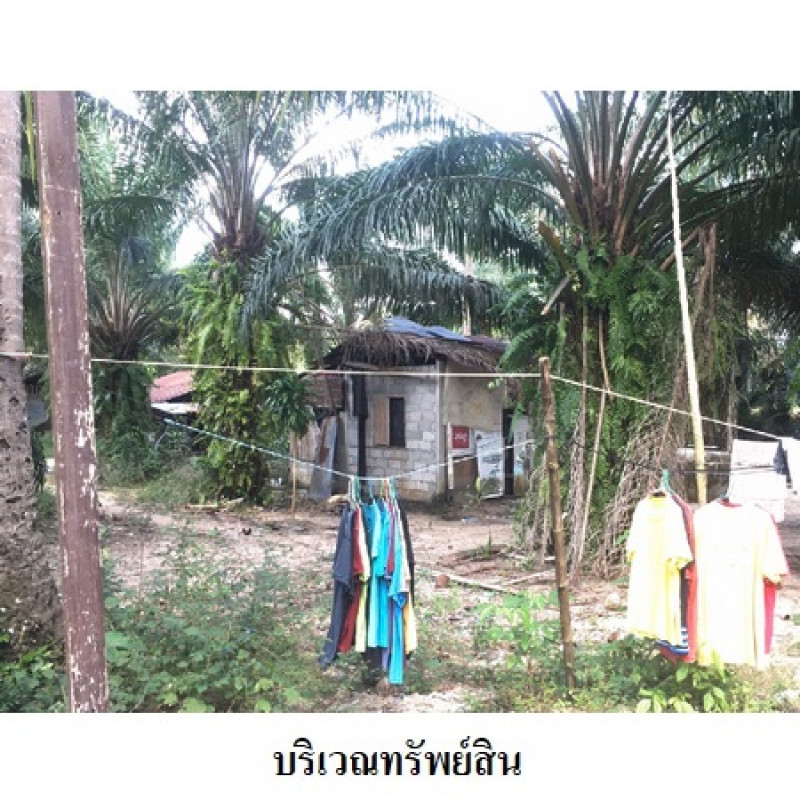 ที่ดินเปล่า นครศรีธรรมราช เมืองนครศรีธรรมราช ปากพูน 7806200