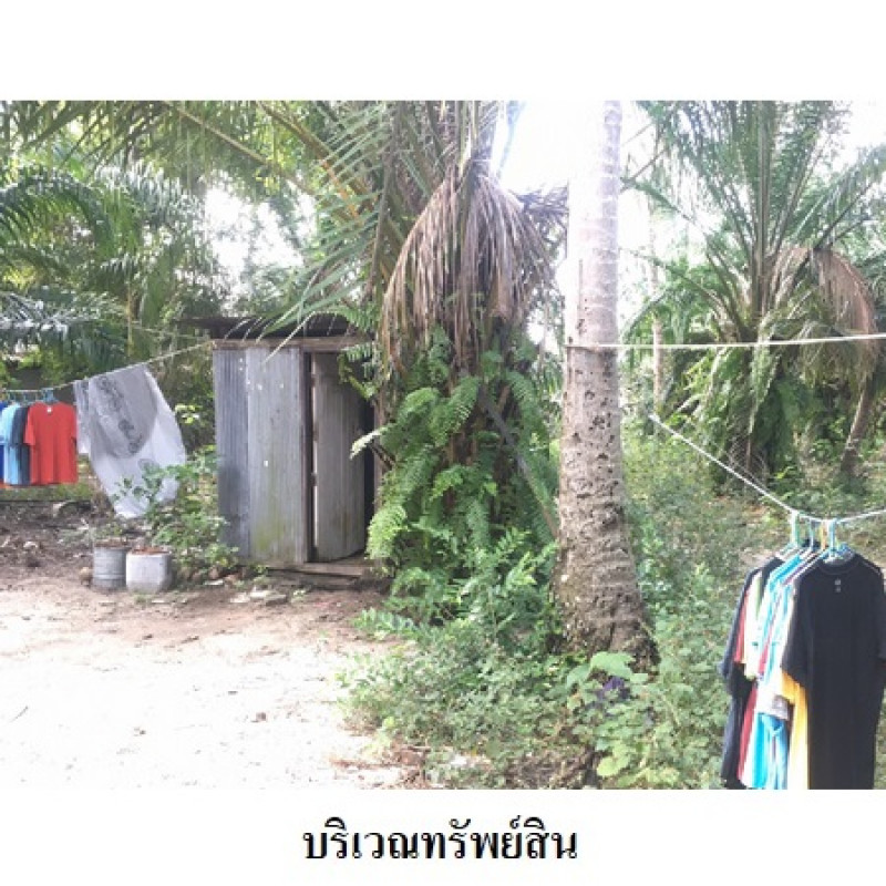 ที่ดินเปล่า นครศรีธรรมราช เมืองนครศรีธรรมราช ปากพูน 7806200