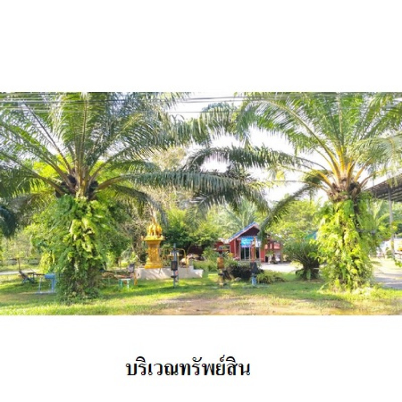 ที่ดินเปล่า นครศรีธรรมราช เมืองนครศรีธรรมราช ปากพูน 20141000