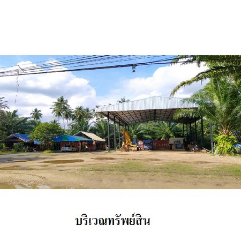 ที่ดินเปล่า นครศรีธรรมราช เมืองนครศรีธรรมราช ปากพูน 20141000