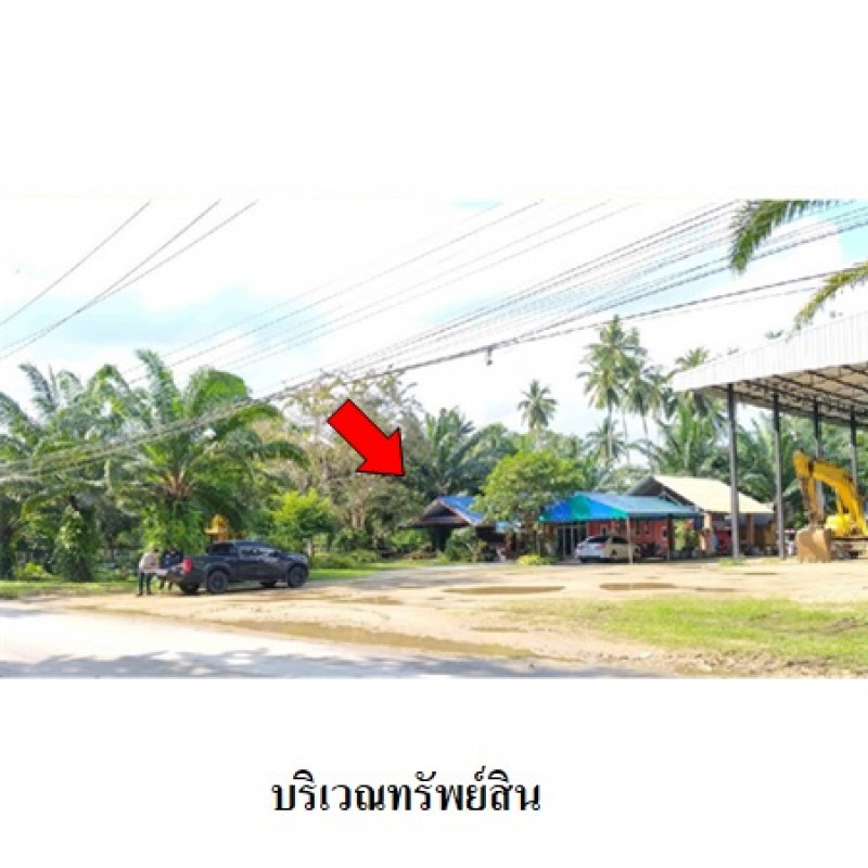 ที่ดินเปล่า นครศรีธรรมราช เมืองนครศรีธรรมราช ปากพูน 20141000