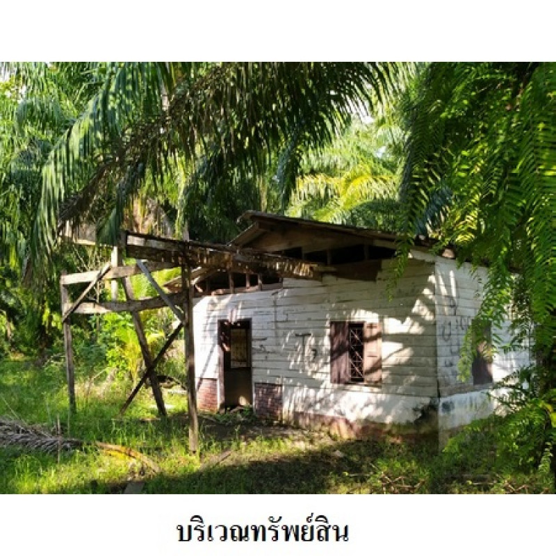 ที่ดินเปล่า นครศรีธรรมราช เมืองนครศรีธรรมราช ปากพูน 20141000