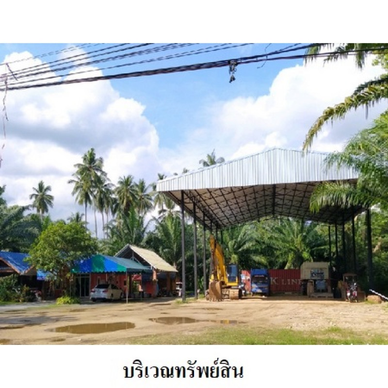 ที่ดินเปล่า นครศรีธรรมราช เมืองนครศรีธรรมราช ปากพูน 20141000