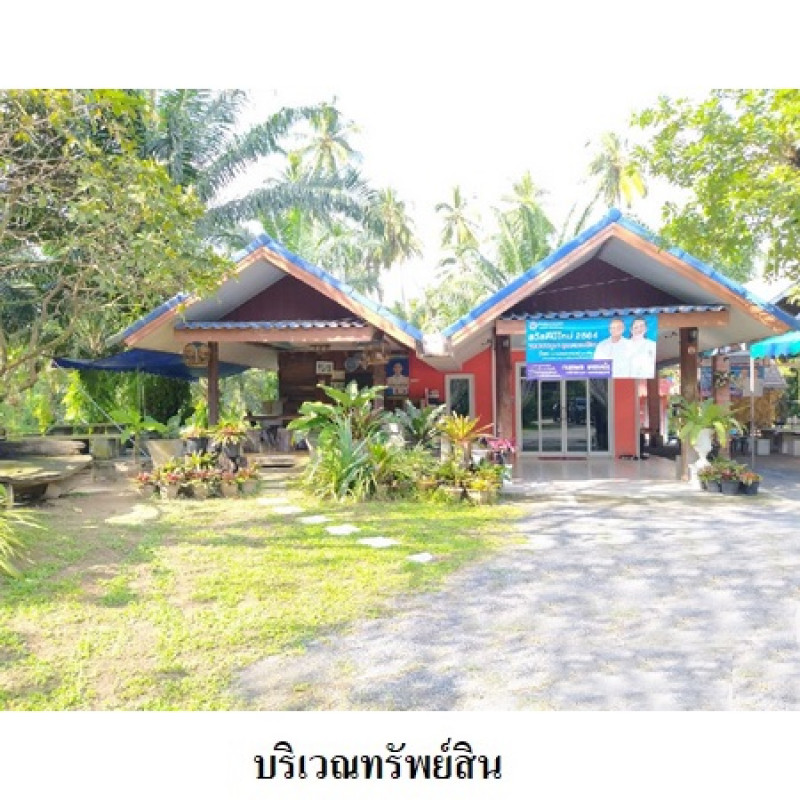 ที่ดินเปล่า นครศรีธรรมราช เมืองนครศรีธรรมราช ปากพูน 20141000