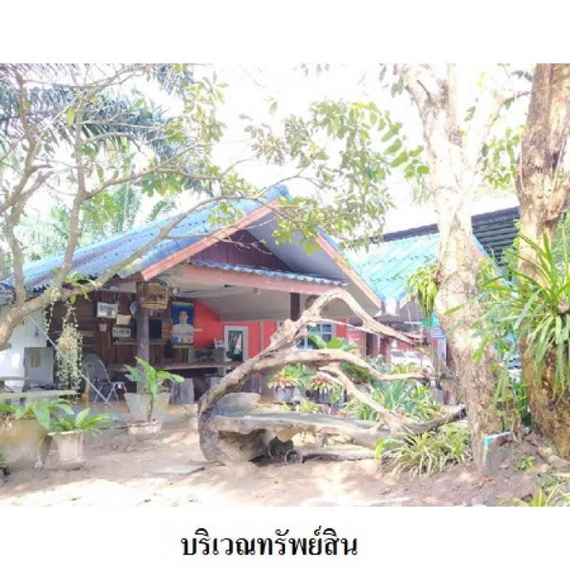 ที่ดินเปล่า นครศรีธรรมราช เมืองนครศรีธรรมราช ปากพูน 20141000