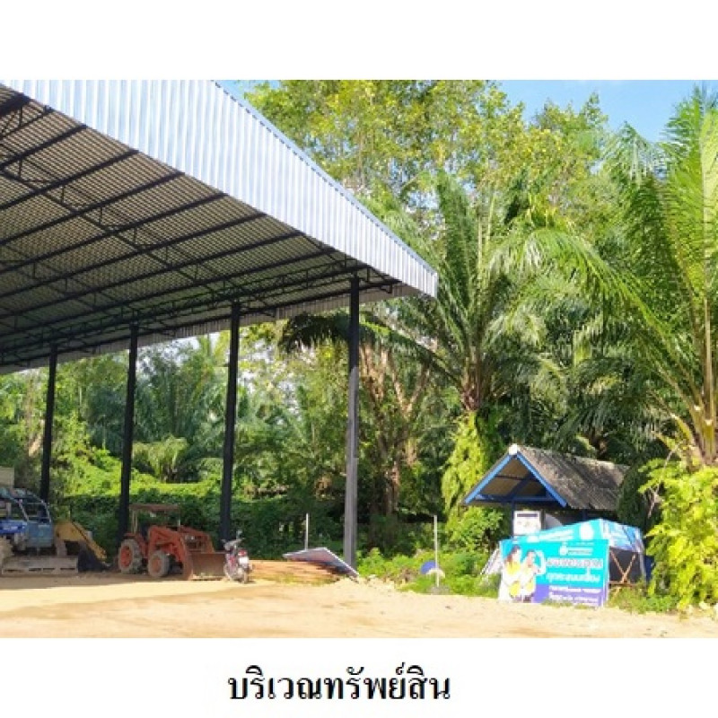 ที่ดินเปล่า นครศรีธรรมราช เมืองนครศรีธรรมราช ปากพูน 20141000