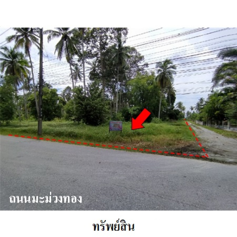 ที่ดินเปล่า นครศรีธรรมราช เมืองนครศรีธรรมราช ปากพูน 5460000