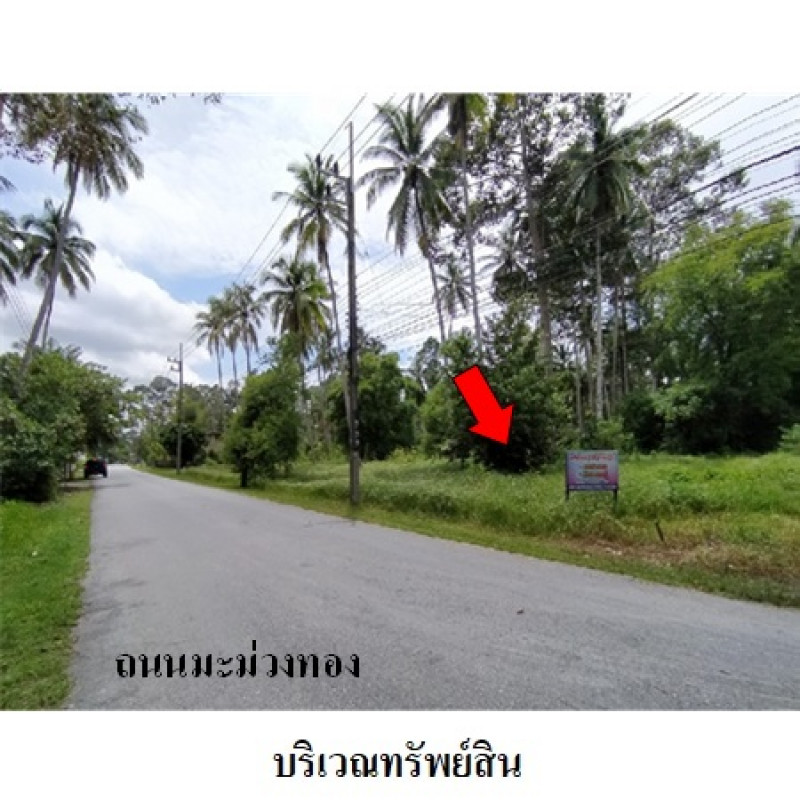 ที่ดินเปล่า นครศรีธรรมราช เมืองนครศรีธรรมราช ปากพูน 5460000