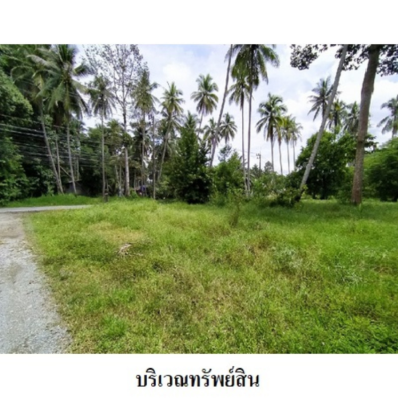 ที่ดินเปล่า นครศรีธรรมราช เมืองนครศรีธรรมราช ปากพูน 5460000