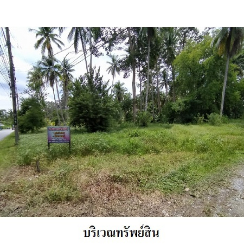 ที่ดินเปล่า นครศรีธรรมราช เมืองนครศรีธรรมราช ปากพูน 5460000