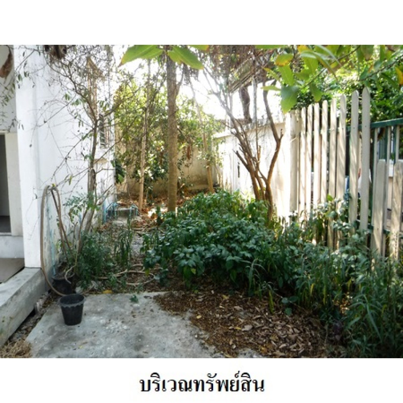 บ้านเดี่ยว พฤกษ์ลดา พุทธสาคร สมุทรสาคร กระทุ่มแบน สวนหลวง 3310000