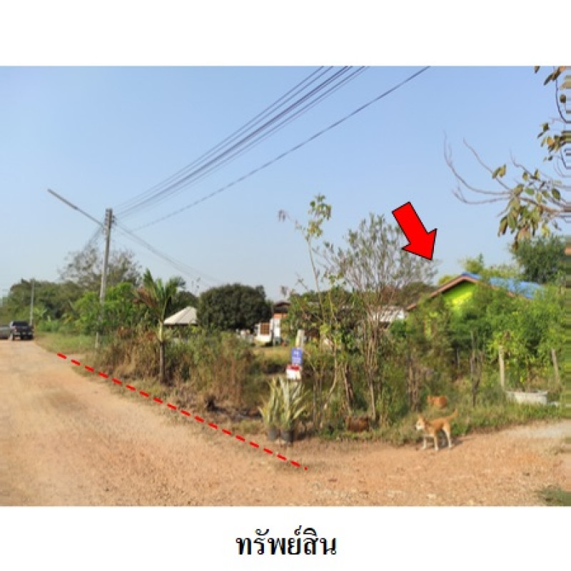 บ้านเดี่ยว ฉะเชิงเทรา เมืองฉะเชิงเทรา คลองนครเนื่องเขต 1430000