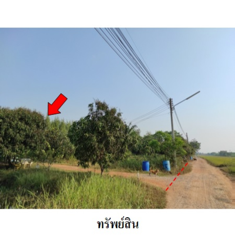 บ้านเดี่ยว ฉะเชิงเทรา เมืองฉะเชิงเทรา คลองนครเนื่องเขต 1430000