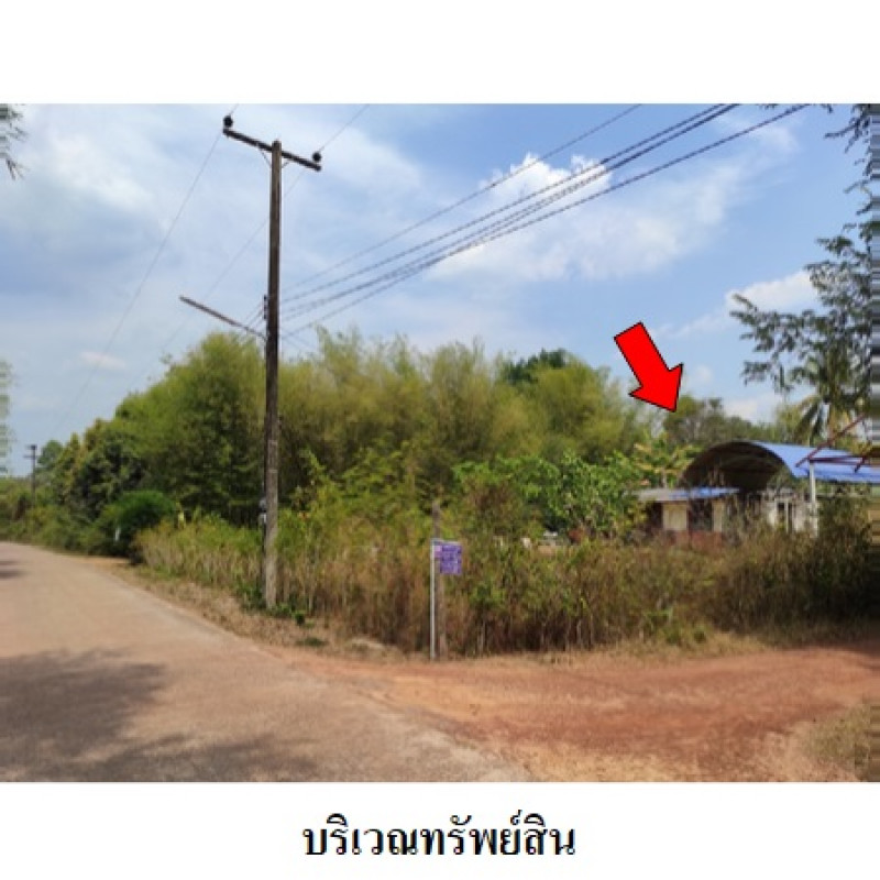 บ้านเดี่ยว ปราจีนบุรี ประจันตคาม บุฝ้าย 937800