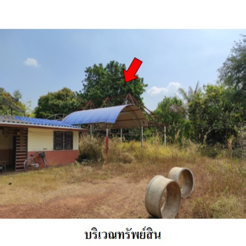บ้านเดี่ยว ปราจีนบุรี ประจันตคาม บุฝ้าย 937800