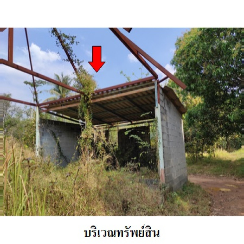 บ้านเดี่ยว ปราจีนบุรี ประจันตคาม บุฝ้าย 937800