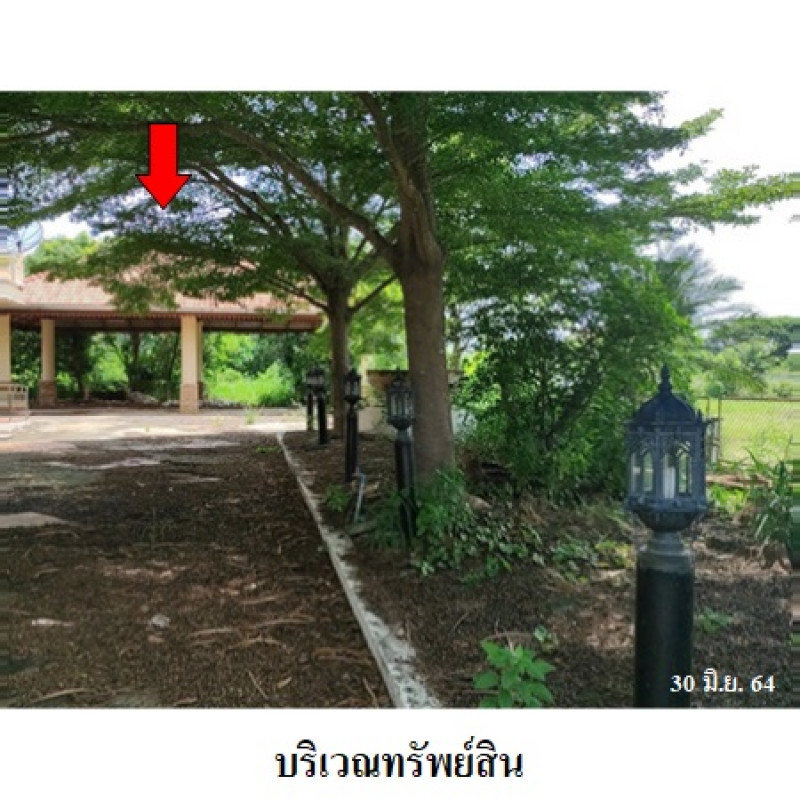 บ้านเดี่ยว มหาสารคาม เมืองมหาสารคาม ตลาด 7838200