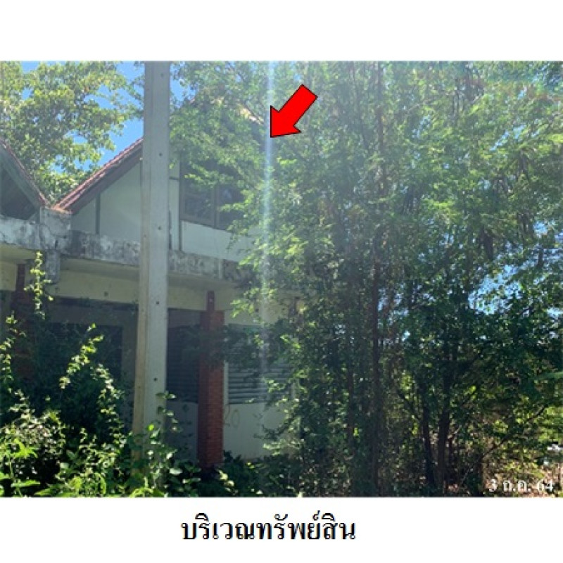 ทาวน์เฮ้าส์ ปึกเตียนชาเล่ท์ 1 เพชรบุรี ท่ายาง หนองจอก 231000