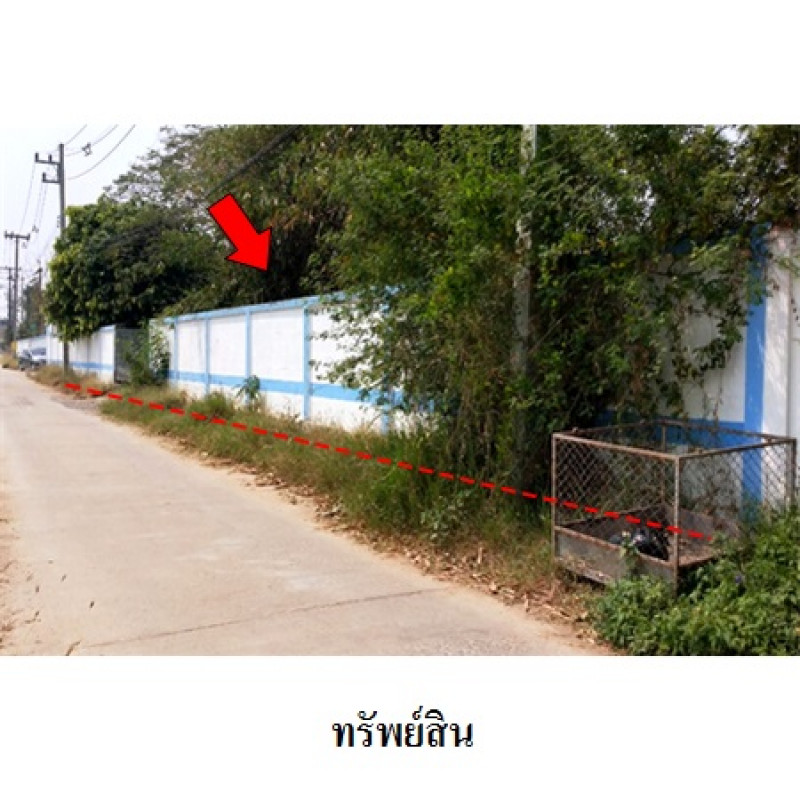 โรงงาน/โกดัง เชียงใหม่ สารภี ท่าวังตาล 48292000