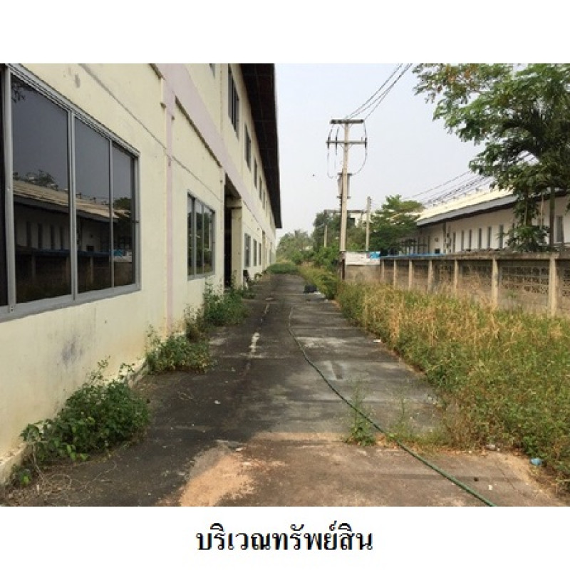 โรงงาน/โกดัง เชียงใหม่ สารภี ท่าวังตาล 48292000
