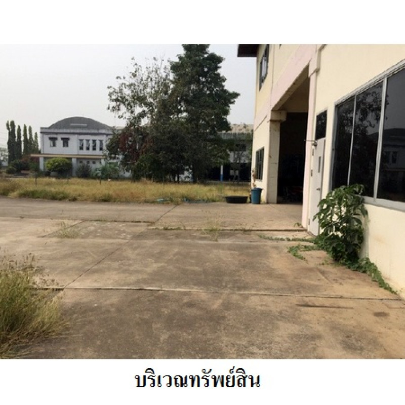 โรงงาน/โกดัง เชียงใหม่ สารภี ท่าวังตาล 48292000
