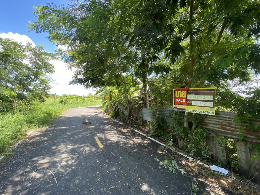 Residential land/lot Lamphun Pa Sang Pak Bong 3495000