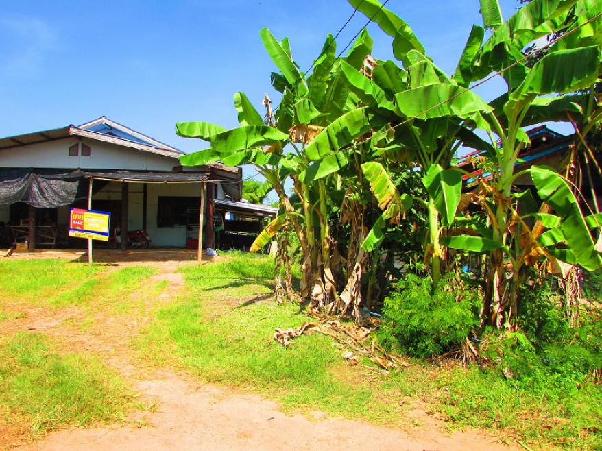 บ้านเดี่ยว - ปราจีนบุรี กบินทร์บุรี หนองกี่ 573000