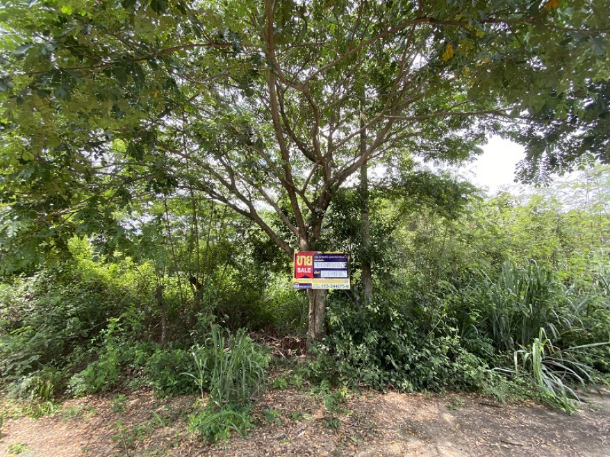 Residential land/lot Chiang Mai Hang Dong Han Kaeo 707000