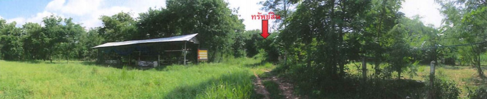Single house Chaiyaphum Kaset Sombun Sa Phon Thong 2014000
